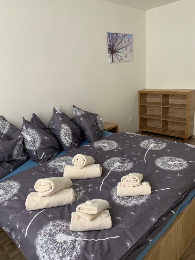 Apartmany Anicka เชเลซนารูดา ภายนอก รูปภาพ